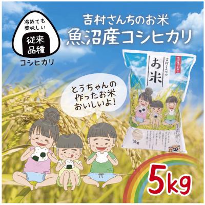 ふるさと納税 十日町市 令和7年産 新米 |従来品種| 魚沼産 コシヒカリ 精米 5kg 吉村さんちのお米