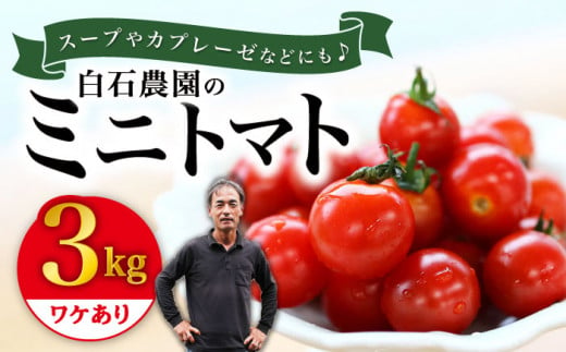 ミニ トマト 訳あり 約3kg まぼろしチョイス掲載のお品！ 西海市産 トマト とまと 野菜 新鮮 旬 トマト ＜白石農園＞ [CBI003]