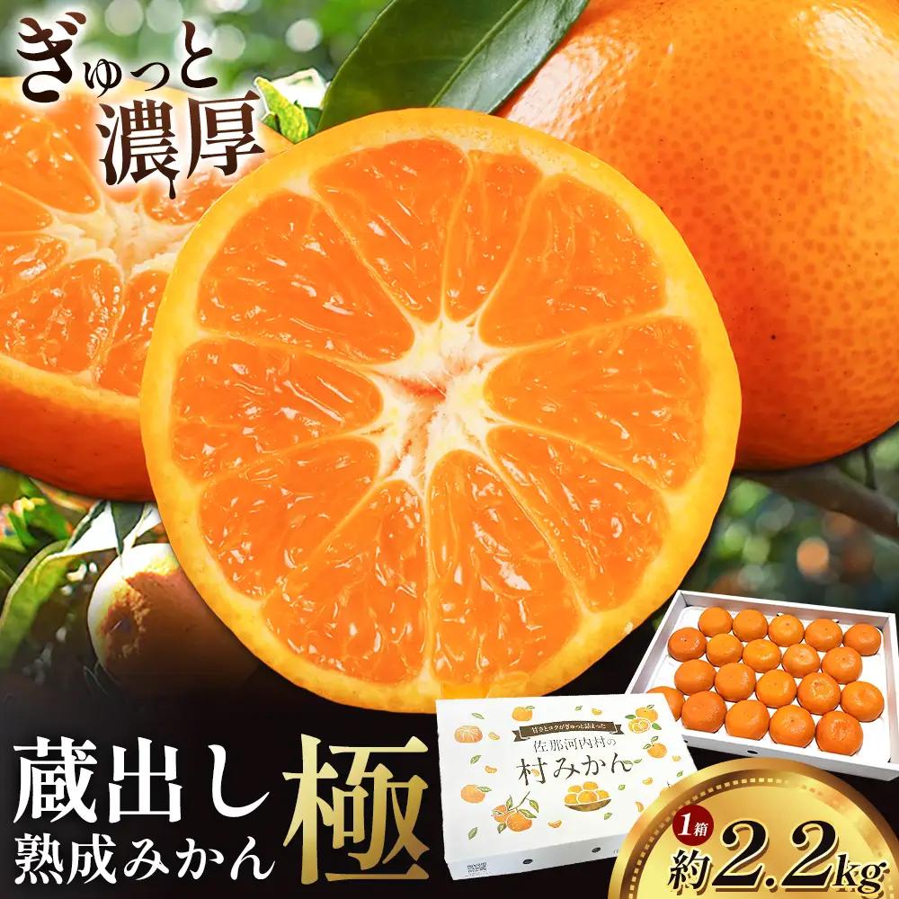 蔵出しみかん 極 熟成 1箱 みかん