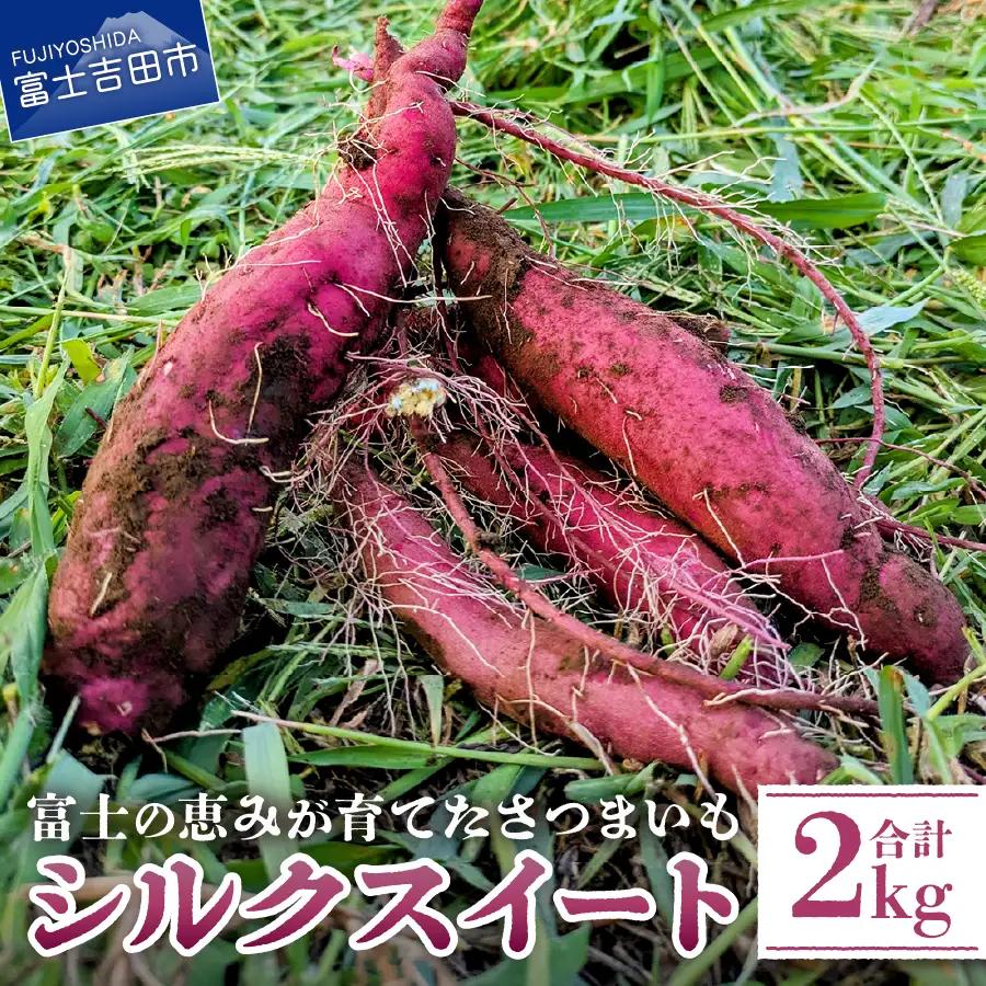 野菜 サツマイモ（シルクスイート）2kg さつまいも
