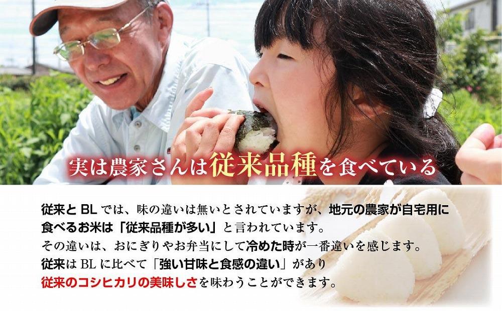 新潟県 南魚沼産 コシヒカリ 【従来品種】塩沢地区 お米 2kg  ×2袋 計4kg精米済み（お米の美味しい炊き方ガイド付き）