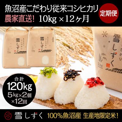 ふるさと納税 十日町市 【毎月定期便】魚沼産こだわり従来コシヒカリ 10kg(5kg×2袋)×12回 合計120kg全12回