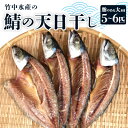 【ふるさと納税】竹中水産の「鯖の天日干し」脂のある大き目を5～6匹ご用意!【C22-265】【配送不可地域：離島】【1078741】