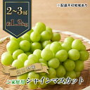 【ふるさと納税】ぶどう 2025年 先行予約 ご家庭用 シャイン マスカット 2～3房 合計約1.2kg ブドウ 葡萄 岡山県産 国産 フルーツ 果物 ギフト　 果物 ぶどう フルーツ デザート スイーツ 高糖度 甘い 種なし 大粒 人気 皮ごと 　お届け：2025年9月上旬～2025年10月下旬