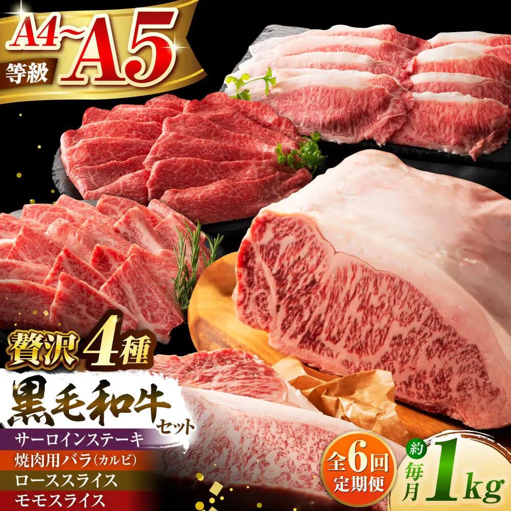全6回定期便 くまもと黒毛和牛藤彩牛厳選4種の贅沢セット 3904 BHAD049 焼肉