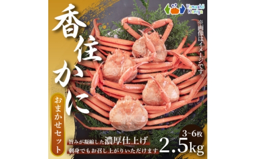 香住がに　おまかせセット　約2.5kg(3～6枚)【1606120】