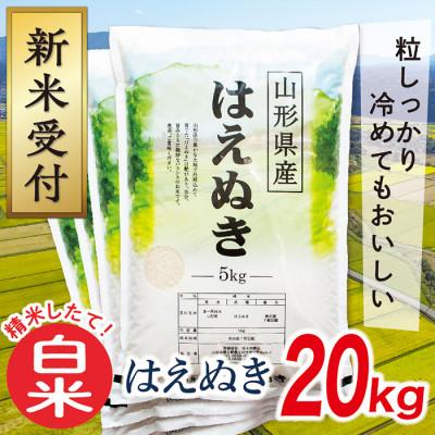 ふるさと納税 最上町 【令和8年産先行受付】山形県産はえぬき20kg(白米)