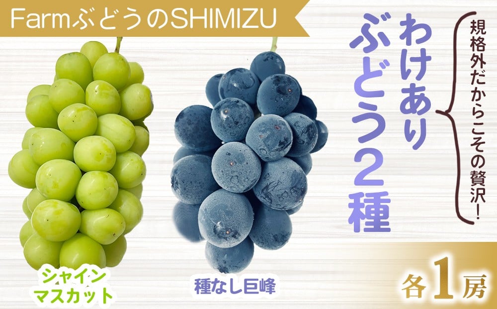
            【清水農園】わけあり2種のぶどうセット（シャインマスカット、種無し巨峰）各１房 、合計2房（900g以上）　※2025年9月中旬以降順次発送予定※月曜日、金曜日の発送はお休み
          