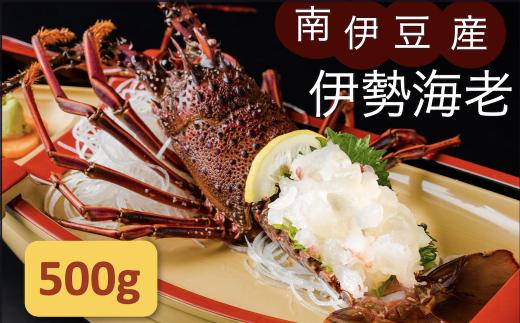 伊勢海老セット[Ａ]　【いせえび 伊勢海老 伊勢海老 鮮魚 海老 えび 人気 名産 高級 おすすめ 数量限定 贈答 静岡県 南伊豆 伊豆 】