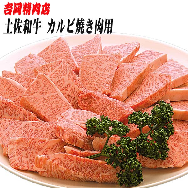 
土佐和牛カルビ (焼肉用) 約500g 【グレイジア株式会社】 [ATAC023]
