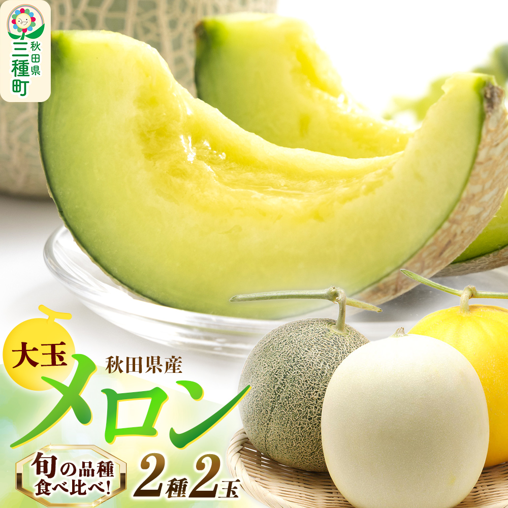 旬のメロン 大玉 2種類 2玉 果物 フルーツ 秋田県産