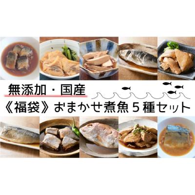 ふるさと納税 陸前高田市 国産 無添加 煮魚 5種セット 種類おまかせ 冷凍 魚 おかず おつまみ