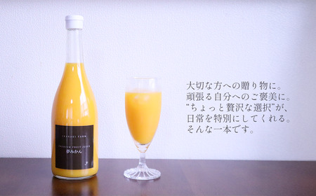 茨木農園の 柑橘100％ストレートジュース 2本セット （夢みかん） 　ジュース みかん 柑橘 ストレートジュース