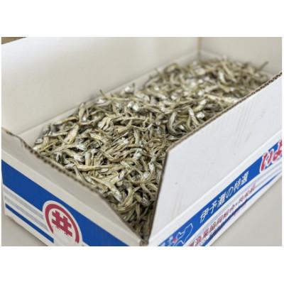 ふるさと納税 伊予市 伊予煮干 いりこ 7kg 【2026年10月以降発送】 伊予灘産 瀬戸内海 |  | 01