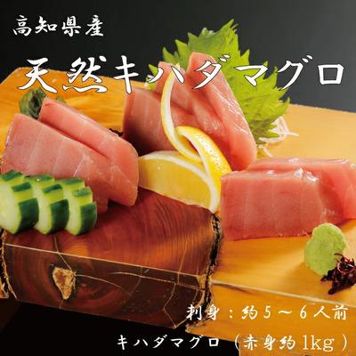 ふるさと納税 四万十市 お刺身や漬け丼に!　天然まぐろ　キハダマグロ(赤身)約1kg　刺身:5〜6人前 26