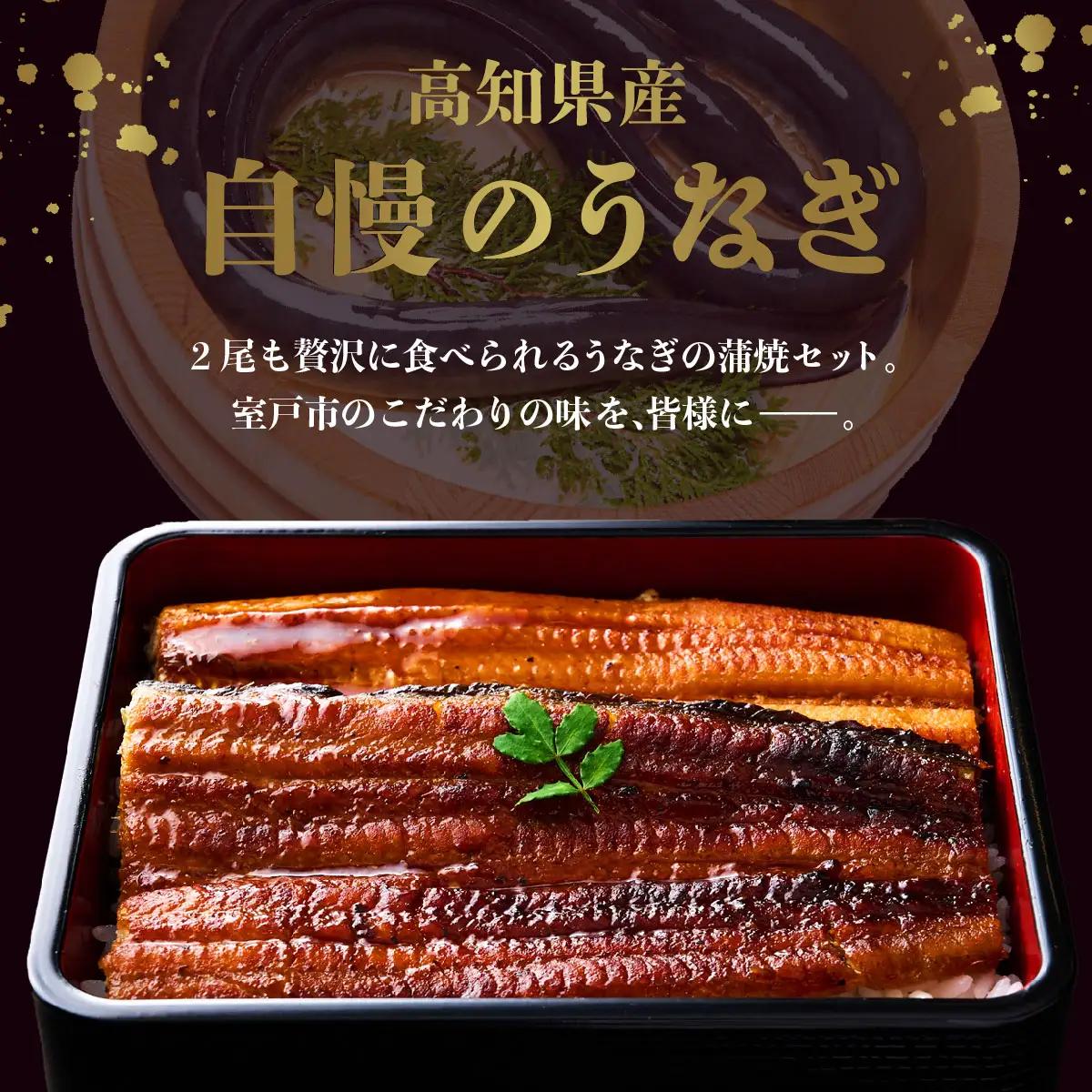 うなぎ蒲焼 2尾 定期便 12回 うなぎ