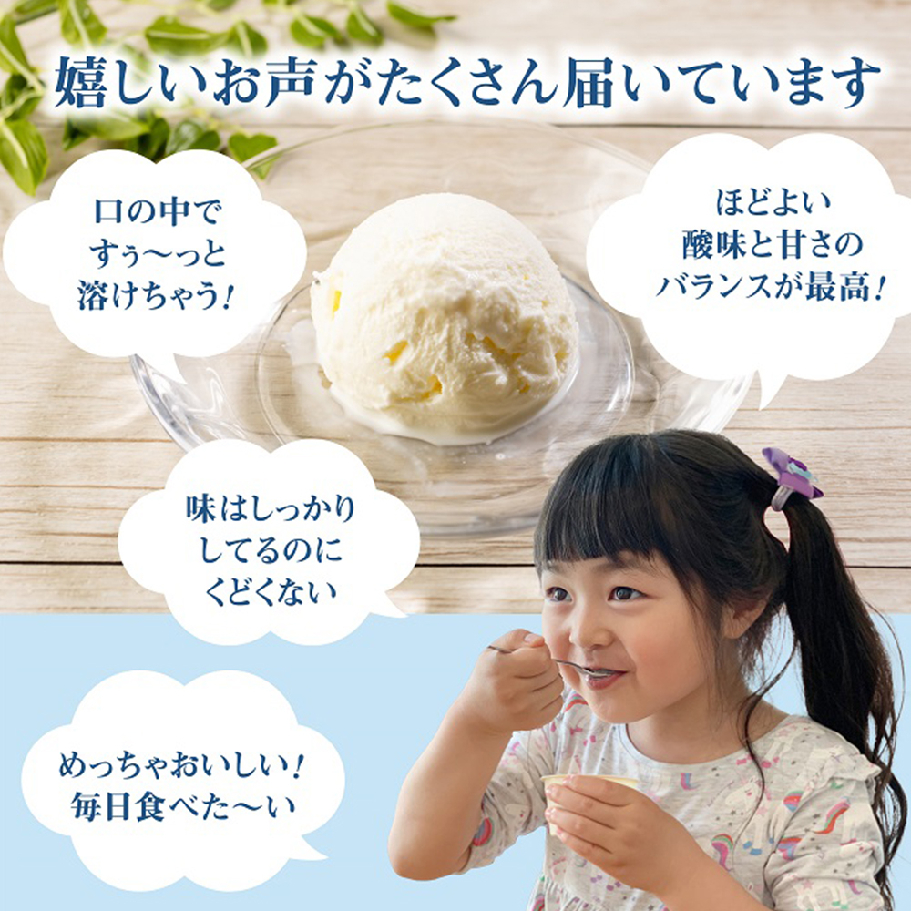 北海道 プレミアムミルクアイスクリーム×11個とフローズンヨーグルト×11個セット計２２個　６ｶ月定期便【11156】_イメージ3
