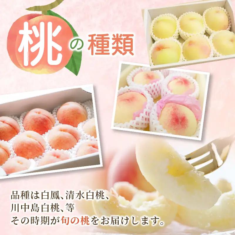 【先行予約 白桃】 清水白桃 岡山県産 3.6kg 岡山白桃 もも 【hnds002】