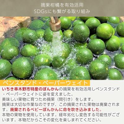 ふるさと納税 いちき串木野市 【数量限定】摘果柑橘を有効活用したペンスタンド・ペーパーウェイト(1個) ルシエルフュゼ |  | 03