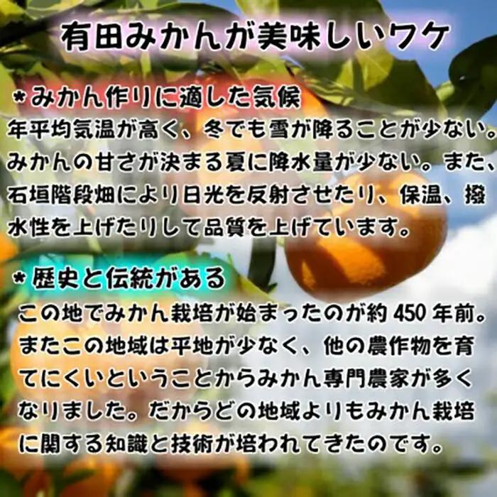 有田みかん［特秀品Ｍ～Ｌ、高糖度］約10kg！2026年10月上旬～12月下旬順次発送［NGT4］