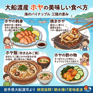 大船渡産 冷蔵 活 殻付きホヤ 5個 産地直送 
