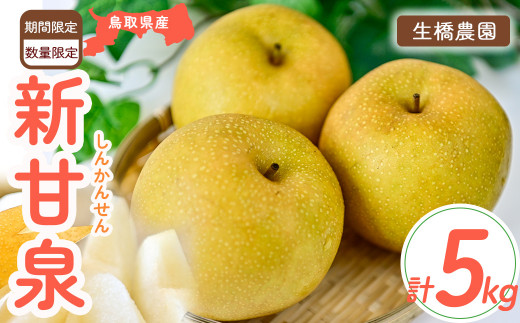 新甘泉【鳥取県産】５ｋｇ(生橋農園)