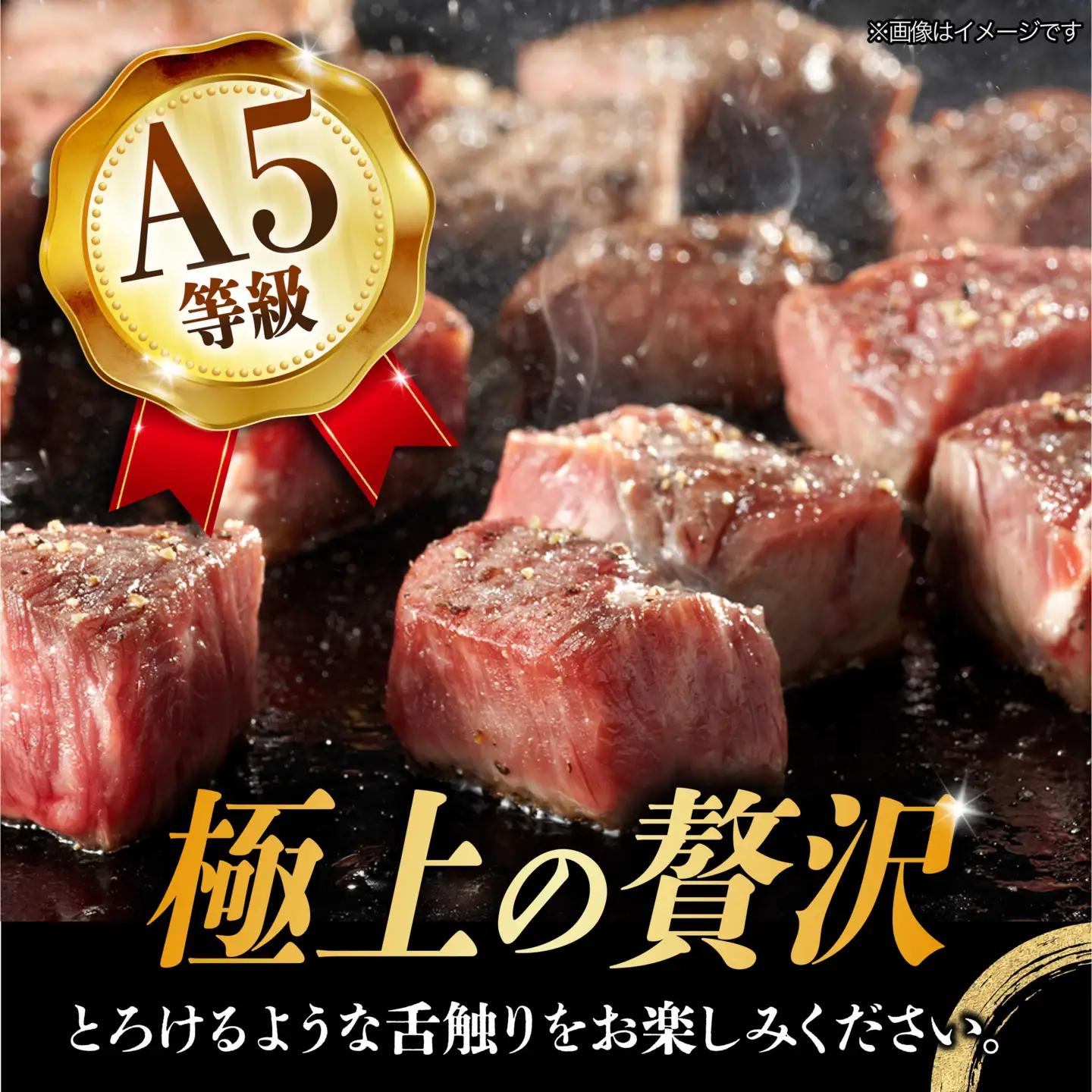 【10月発送】飛騨牛 サイコロステーキ 部位おまかせ 500g A5等級 和牛 ブランド牛 国産 牛肉 多治見市 / 渡辺精肉店 [TAZ038-10]