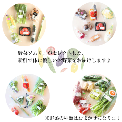 旬のエシカル野菜5～7種セット 野菜 おまかせ 新鮮 採れたて 産地直送 やさい とうもろこし トマト 減農薬 きのこ オクラ 玉ねぎ 美味しい 小松島市