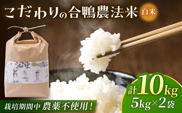 
                  【先行予約】〈令和8年度産米〉 合鴨農法米 5kg×2 計10kg 【あいがもん倶楽部】 [ZAR027]
                