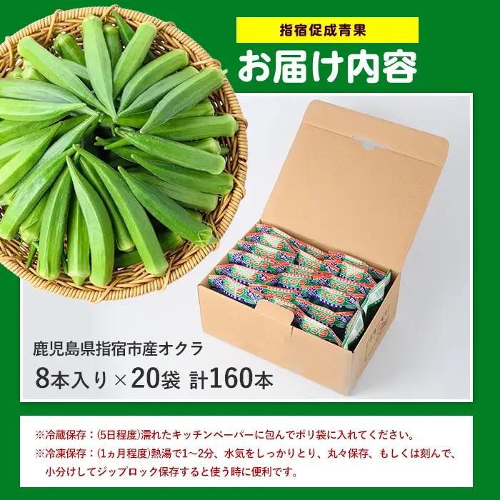 2026年 発送 夏の元気の源! 朝採れ新鮮いぶすきオクラ8本入り20袋 指宿促成青果 IB092-003 オクラ オクラ