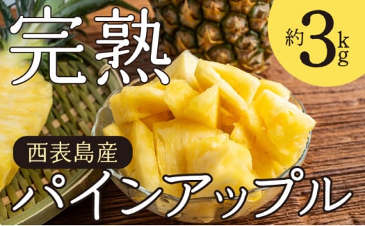 2026年 先行予約 完熟 パインアップル 約3kg 水鴨農園 パイン パイナップル 果物 フルーツ 020-a001_2026