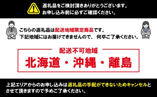 いちご やよいひめ  約450g～500g 12～15粒 贈答 におすすめ 苺 イチゴ 大粒 甘い 美味しい 食べ頃 お取り寄せ 通販 産地直送  農家直送 高級 家庭用 ご褒美 人気 リピーター続出 スイーツ デザート ケーキ  ビタミン 豊富 予約販売 先行予約 【配送時期1月下旬～4月下旬頃】 10000 10,000 10000円 ふるさと納税 ふるさと納税果物 千葉県銚子市 飯森苺農園