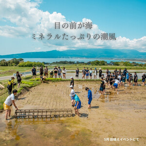 新潟県佐渡産 令和7年産 【在来コシヒカリ】 白米 5kg