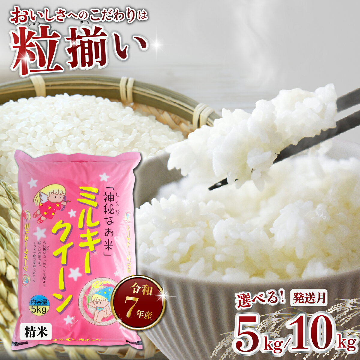 【ふるさと納税】最短7日発送! 精米 ミルキークイーン 5kg / 10kg 茨城県下妻市産 【 お米 米 白米 ご飯 こめ ミルキークイーン 令和7年産 茨城県産 】