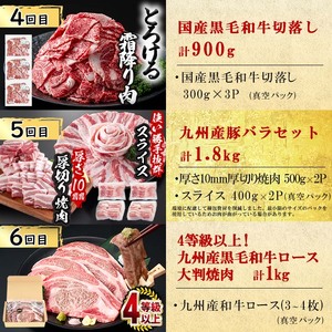 【定期便全6回】大満足！和牛・豚肉定期便(6ヶ月連続・総量8.5kg以上) 黒毛和牛 国産牛 九州産 豚 豚肉 肉 牛肉 国産 しゃぶしゃぶ 豚バラ 切り落し たれ漬け 大容量 人気 4等級 小分け 