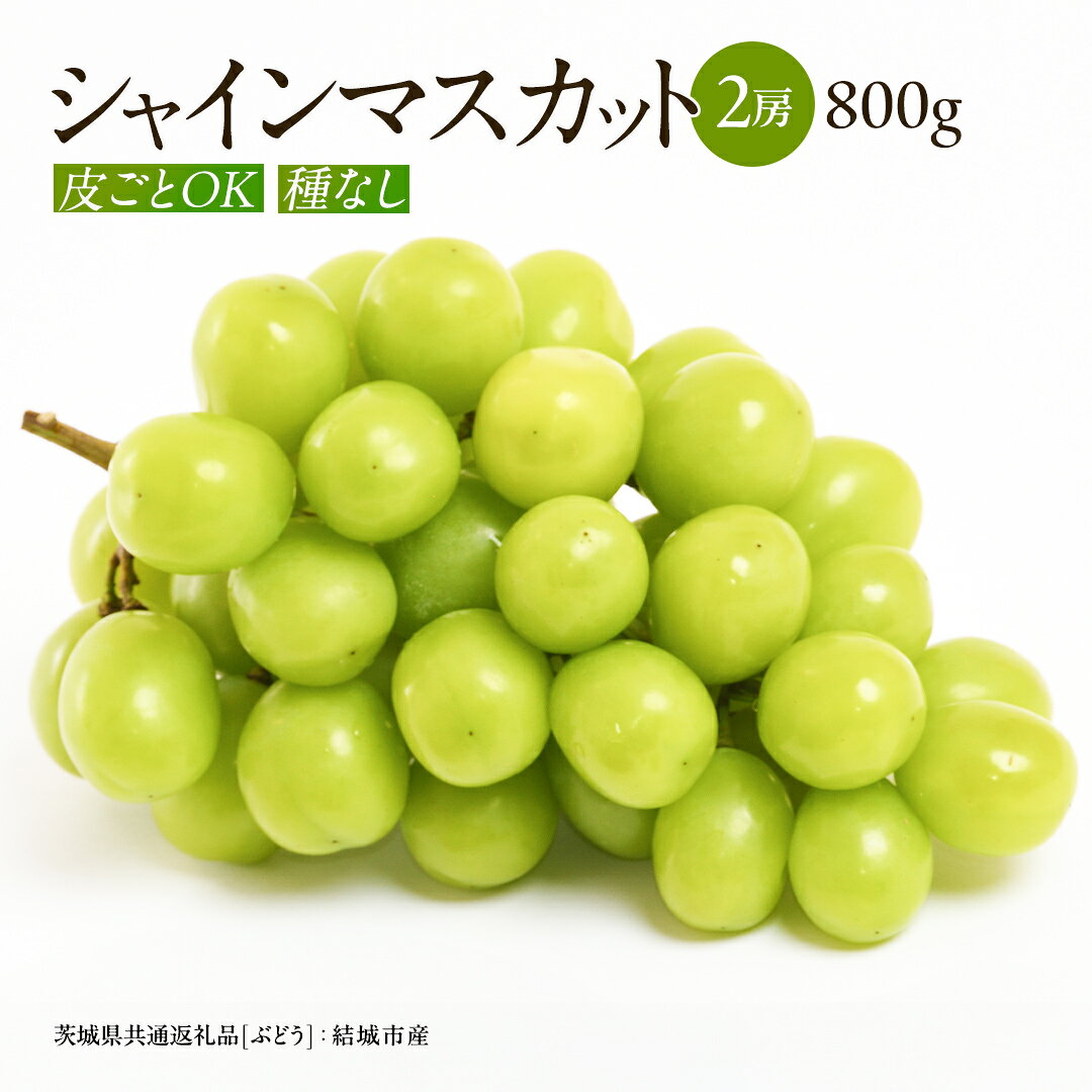 【ふるさと納税】 シャインマスカット 800g 2房 【2026年9月より発送開始】田舎の頑固おやじが厳選！ マスカット 種なし ギフト 高糖度 大粒 ぶどう 甘い 美味しい フルーツ 果物