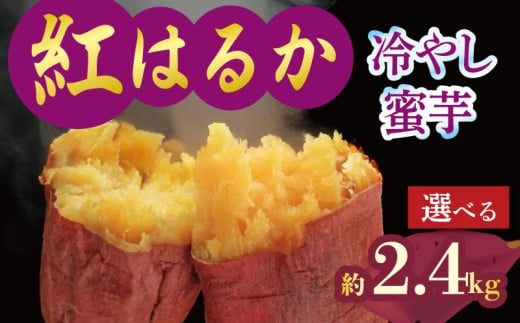 焼き芋 蜜芋 冷蔵 紅はるか 約2.4kg 芋 さつまいも おいも お芋 やきいも サツマイモ おやつ スイーツ デザート コグマ ダイエット 低GI 食物繊維  香川県 丸亀市 配送：11月下旬～