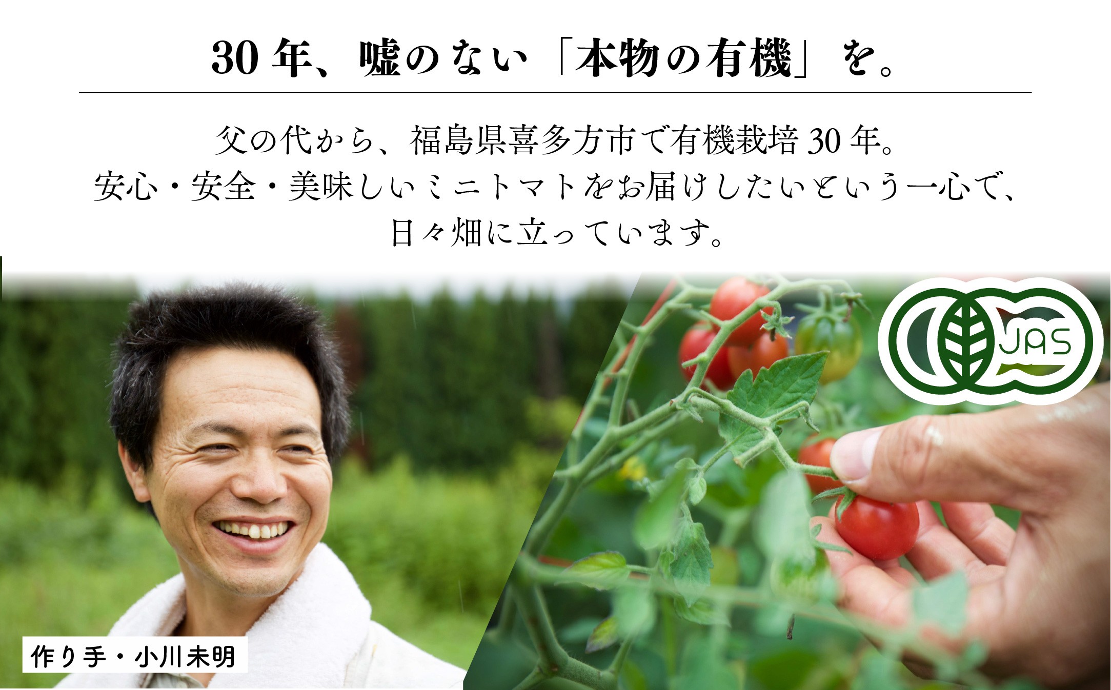 【日本一の栄養価】濃厚！有機ミニトマトの宝石箱1.1kg　【07208-0816】