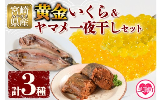 
                  ＜黄金イクラとヤマメ一夜干しセット＞(3種)黄金イクラやヤマメを詰め合わせ！国産 九州産 宮崎 いくら 魚卵 やまめ 一夜干し おかず 詰め合わせ 敬老の日 ギフト のし対応可能 贈答用 贈り物 プレゼント 感謝 孫 テレビ 紹介 テレビで話題 テレビ放送後 メディア掲載 今話題の 黄金いくら【A-0203-sk】【有限会社しゃくなげの森】
                