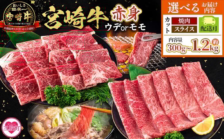 
            ＜宮崎牛赤身【焼肉/スライス】（ウデorモモ）300g～1.2kg＞【選べるカット 内容量 発送月】脂控えめ ヘルシー あっさり うで もも 焼き肉 BBQ バーベキュー すき焼き 鍋物 炒め物 肉料理 ご馳走 国産 高級 ブランド牛肉 黒毛和牛【MI681-my_oya】【ミヤチク】
          
