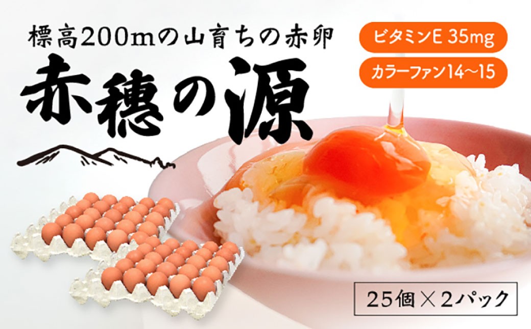 
            【3ヶ月定期便】 赤穂の源 50個（40個+割れ保証10個）（25×2パック） 3回 定期便 計150個 割れ保障 鶏卵 卵 たまご 卵かけご飯 卵焼き 朝ごはん ご飯 ご褒美 冷蔵 兵庫県 赤穂市
          