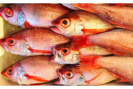 干さない干物極上のどぐろ Eセット 魚介類 魚貝類 干物 干もの 一夜干し 御中元 御歳暮 ギフト 新鮮 厳選 海鮮 個包装 【721】