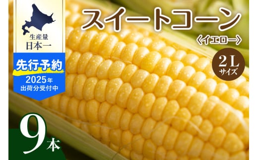【先行予約】【2025年産】北海道十勝芽室町 とうもろこし 2L 9本入り me002-021c-25