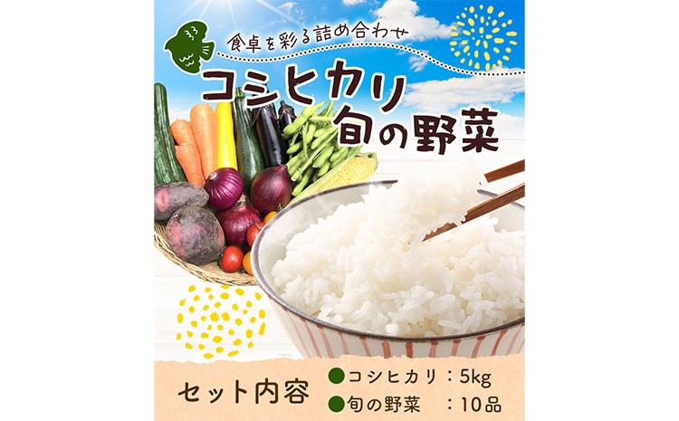 
                  米 野菜 千葉県我孫子市の農家直送! ふっくら甘み自慢の 令和7年産 コシヒカリ 5kg ＆ 旬の野菜 10品 《30日以内に出荷予定(土日祝除く)》 ベジLIFE!! 【配送不可地域あり】（沖縄・離島） 精米 米 白米 ごはん お米 国産 コメ 野菜 トマト キャベツ 白菜 玉ねぎ 千葉県 我孫子市
                