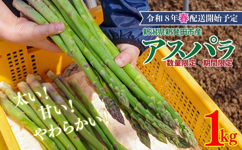 
            R8年産先行予約 アスパラガス  1kg （ 約 40本 ） グリーンアスパラガス 野菜 旬 旬の野菜 期間限定 数量限定 【 新潟県 新発田 産 のぞみふぁーむ アスパラガス 農福連携 先行予約 1kg 甘い 太い 柔らかい 特産品 nozofarm001_01 】
          