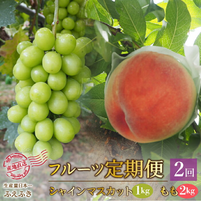 【ふるさと納税】＜25年発送先行予約＞厳選！大人気セット！笛吹市全2回定期便〜もも2kg シャインマスカット1kg〜 ふるさと納税 人気 おすすめ ランキング シャインマスカット 桃 もも 国産 人気 期間限定 ぶどう ブドウ 葡萄 旬 果物 山梨県 笛吹市 送料無料 156-100