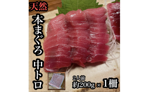 
貴重な天然本鮪 中トロ 約200g 1柵　約2人前●くどくない上質な脂が美味しい！【とろ マグロ 惣菜 海鮮 お取り寄せ 御中元 お中元 お歳暮 父の日 母の日 贈り物 日本酒 焼酎】【神奈川県小田原市早川】
