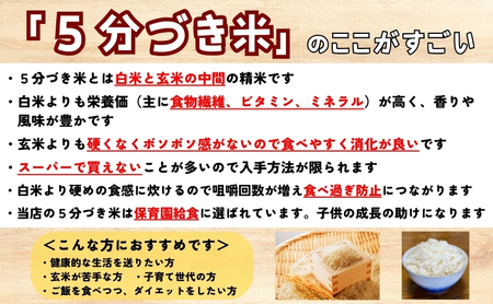 ★スーパーで買えない栄養と美味しさ★ひとめぼれ【5分づき精米】5kg×2 令和7年産 盛岡市産 ◆新鮮！発送日精米・1等米のみを使用したお米マイスター監修の米◆