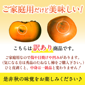 富有柿 約2kg(箱込) 【ご家庭用】カキエモン農園 【2025年11月下旬～12月下旬頃順次発送】【BX-kkem031】