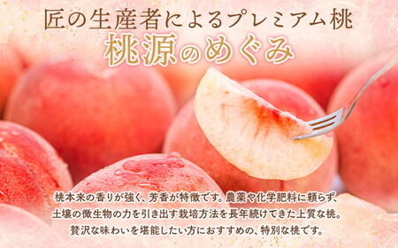 ◆2024年夏発送◆桃源のめぐみ ～産直・桃・約2kg～ ※着日指定不可 ※離島への配送不可 ※2024年7月中旬～9月中旬頃に順次発送予定